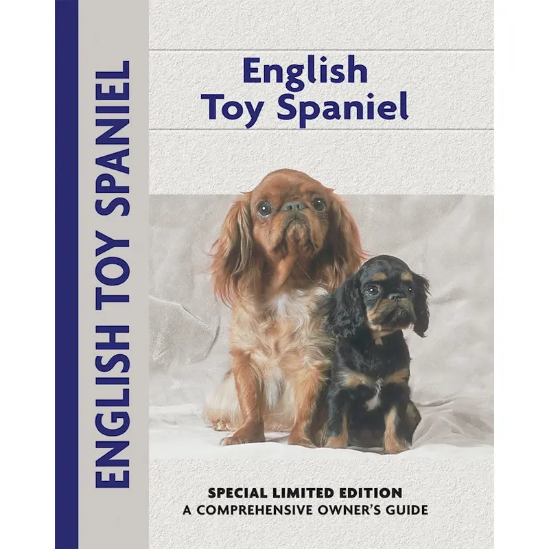English Toy Spaniel