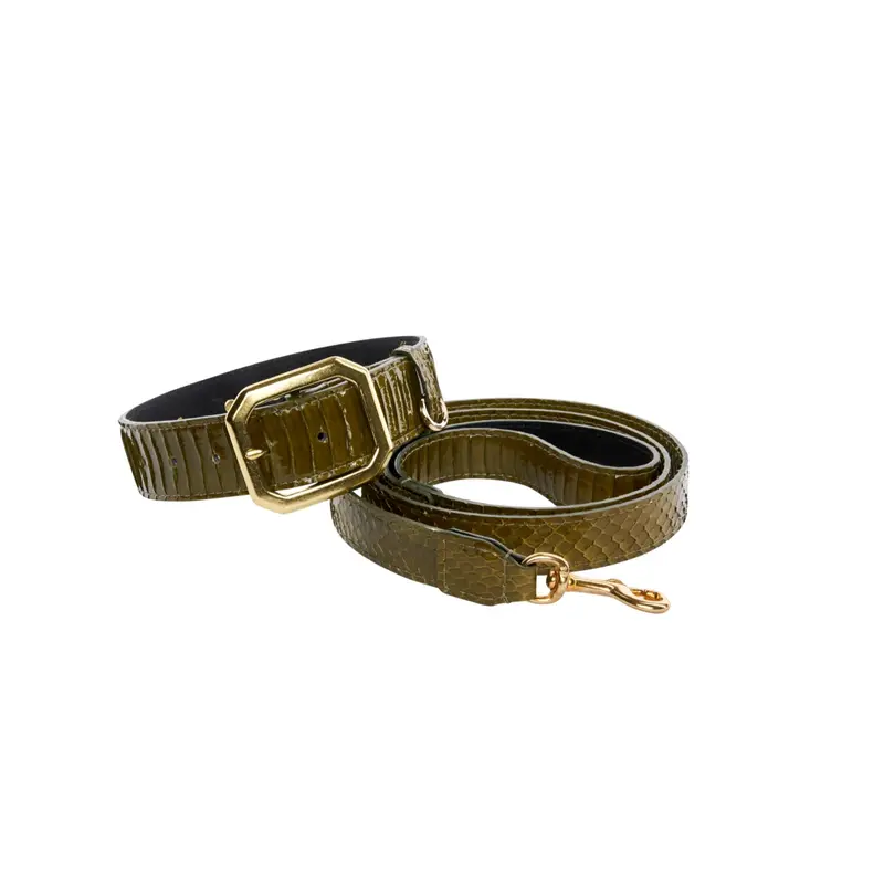 Olive Green Snake Collar & Leash Set