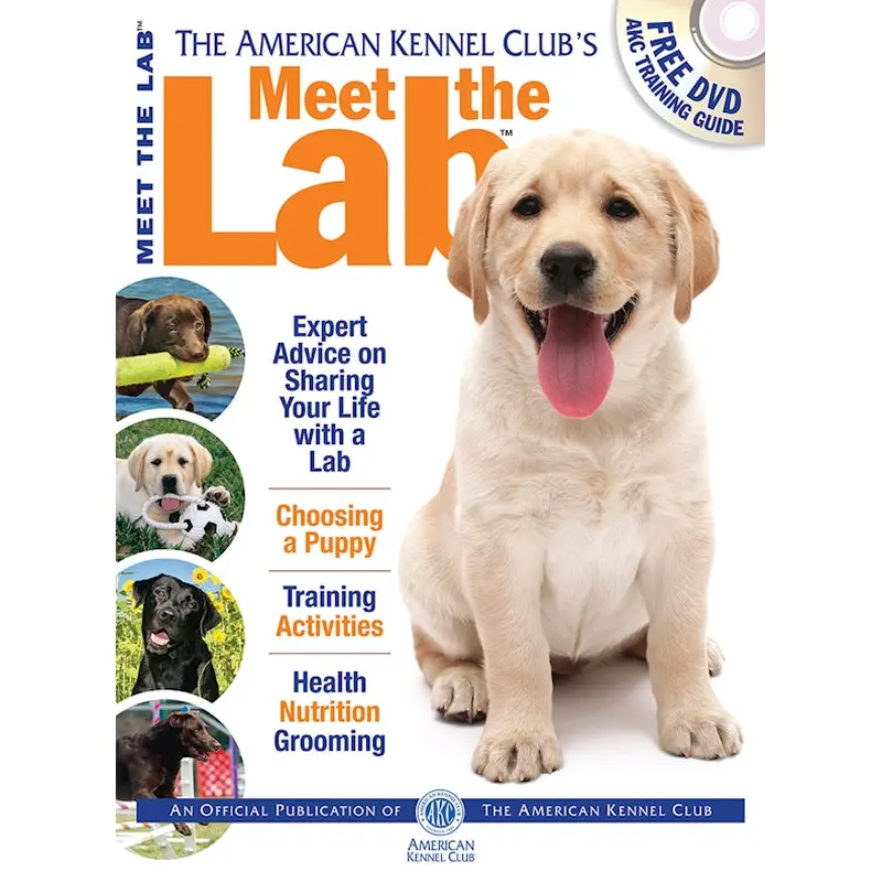 Meet the Lab