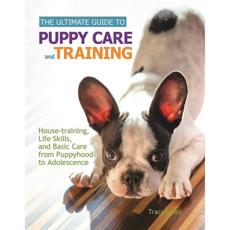 The Ultimate Guide to Puppy Care and Training
