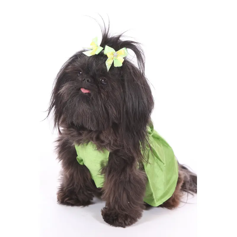 The Bailey Green Silk Dog Dress