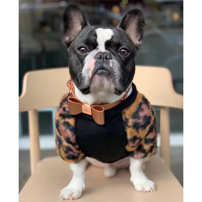 Leather Bow Collar - Cinnamon