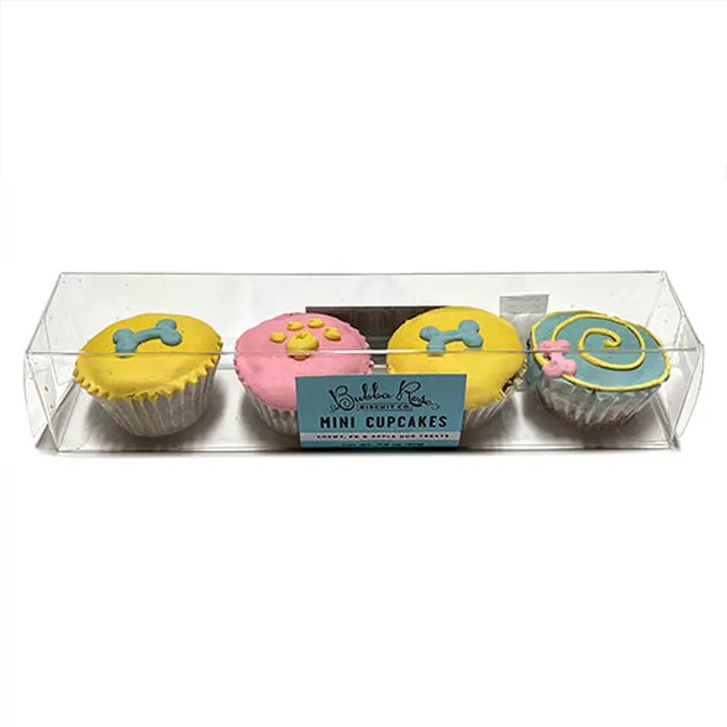 Summer Mini Cupcake Box