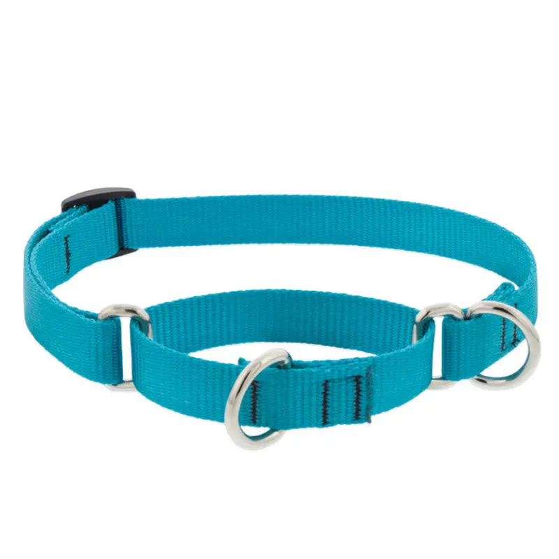 Lupine Martingale Collar for Training 3/4"x14-20" Aqua