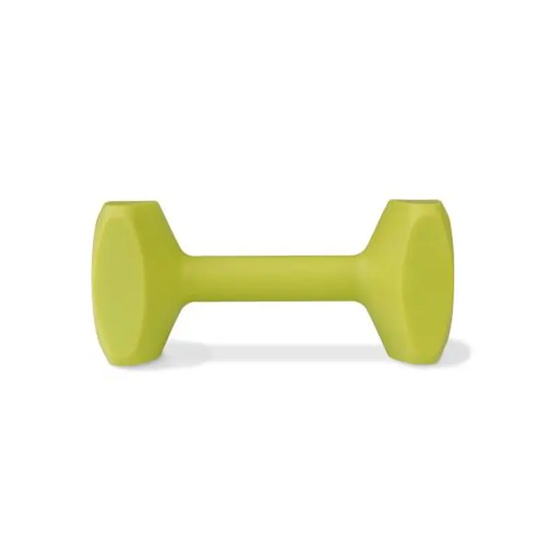 Coachi Medium Dumbbell Weight for Dog Training