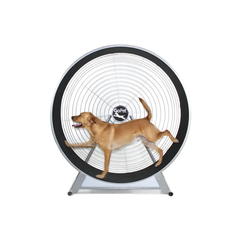 Dog Wheel With Stand Medium-Large Breed