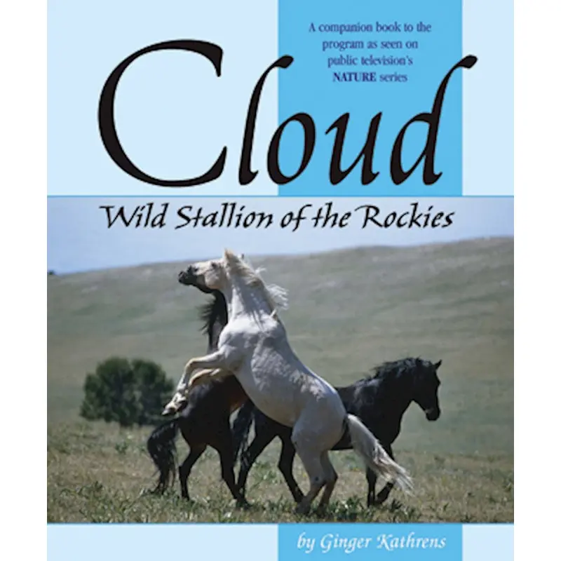 Cloud