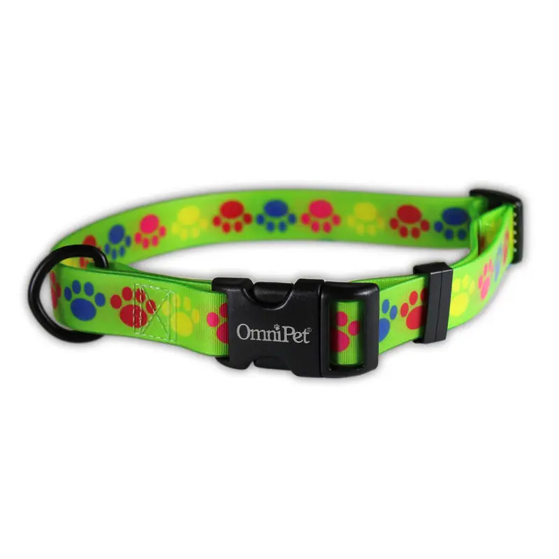 Pop Paws Attitudz Biothane Dog Collar / Lead - COPY