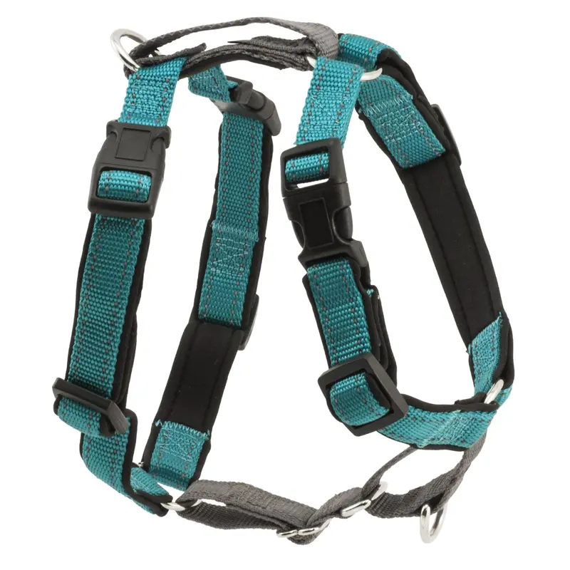 PetSafe 3 in 1 Harness, Extra Small, Teal, X-Small, Teal / Grey