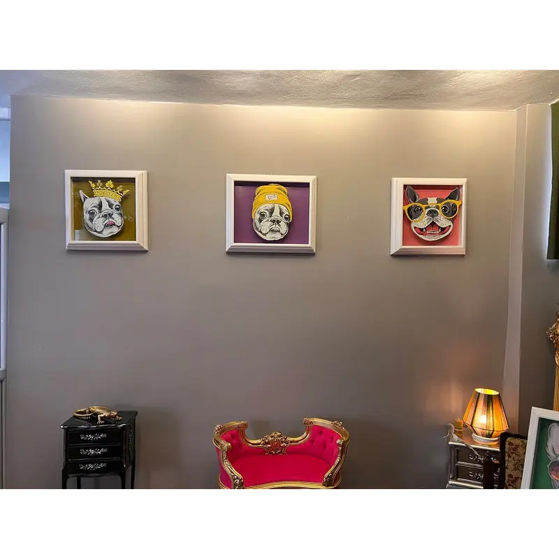 Funny Frame Boston Terrier