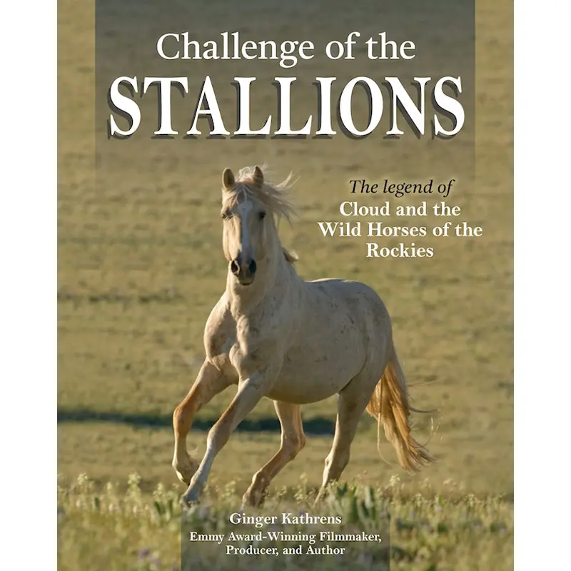 Challenge of the Stallions