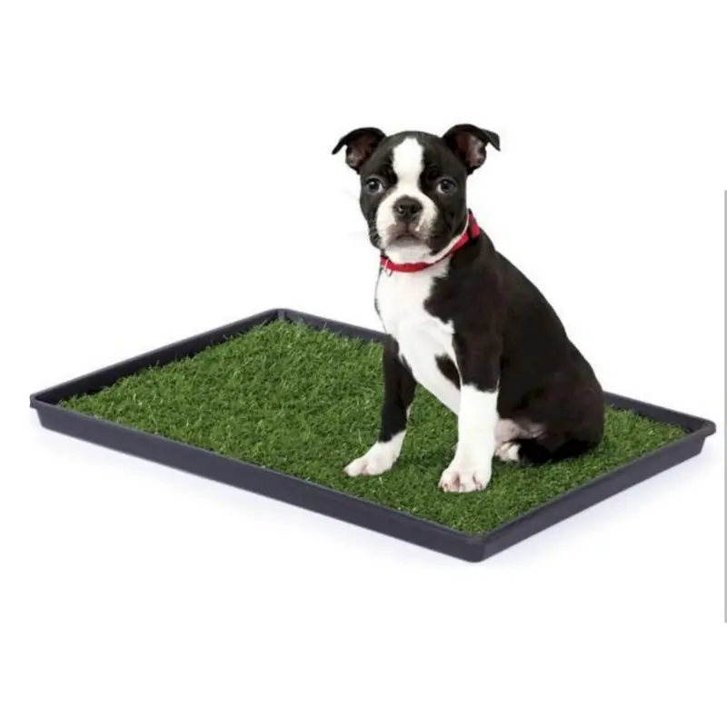 Mr. Peanuts Potty Place - Artificial Grass Puppy Pad for Dogs and Small Pets  Portable Training Pad with Tray