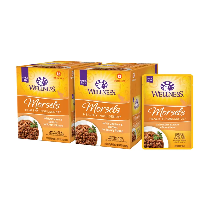 Wellness Healthy Indulgence Natural Grain Free Wet Cat Food Morsels Chicken & Salmon 3oz Pouch