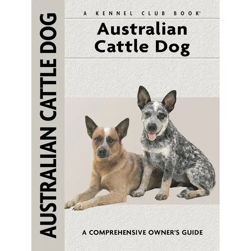 Australian Cattle Dog