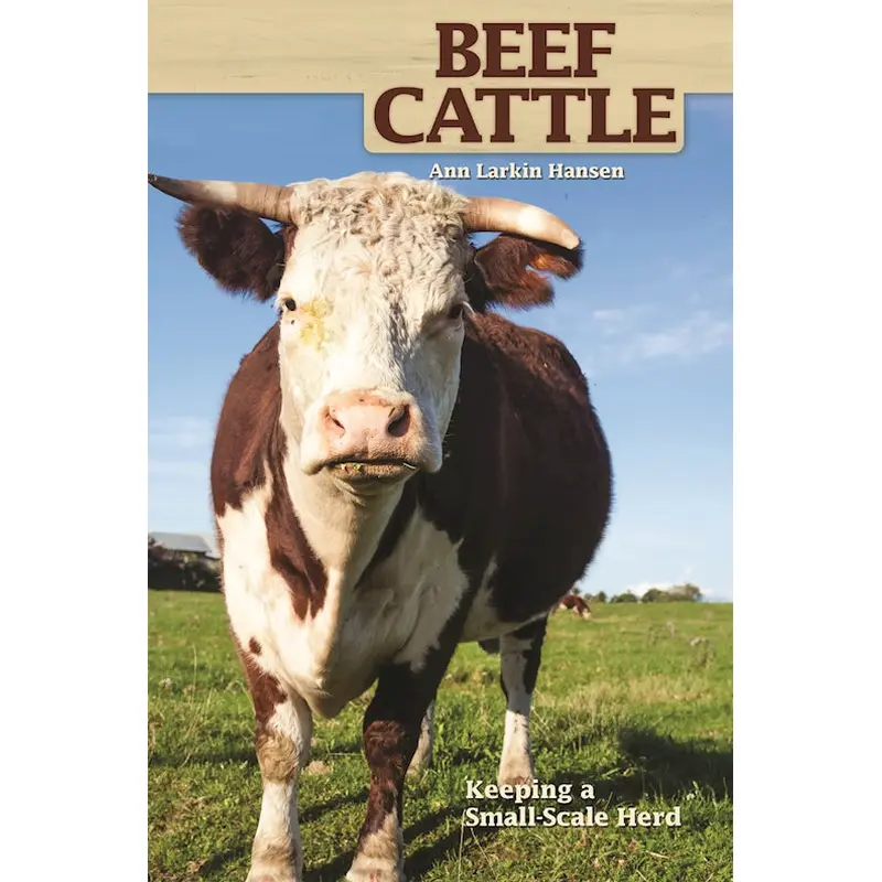 Beef Cattle