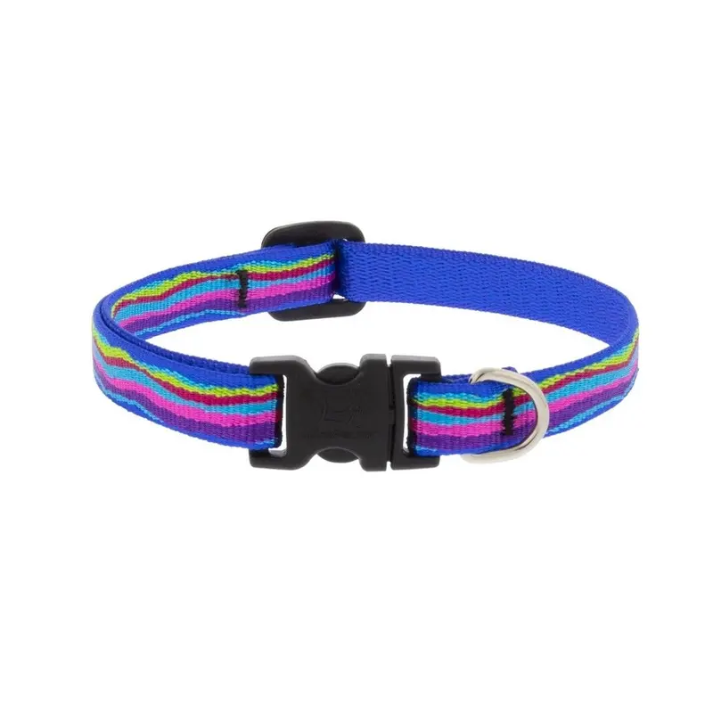 Ripple Creek 1/2" W X10-16" Neck Adjustable Dog Collar