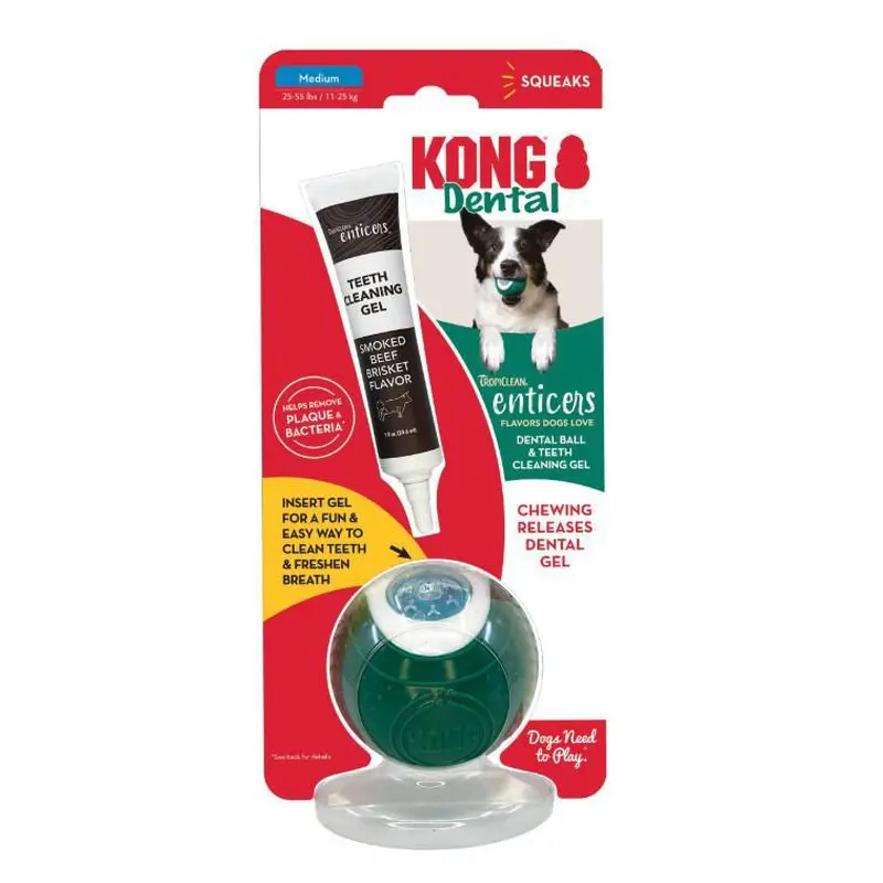 Kong Dental Ball Dog Toy Medium