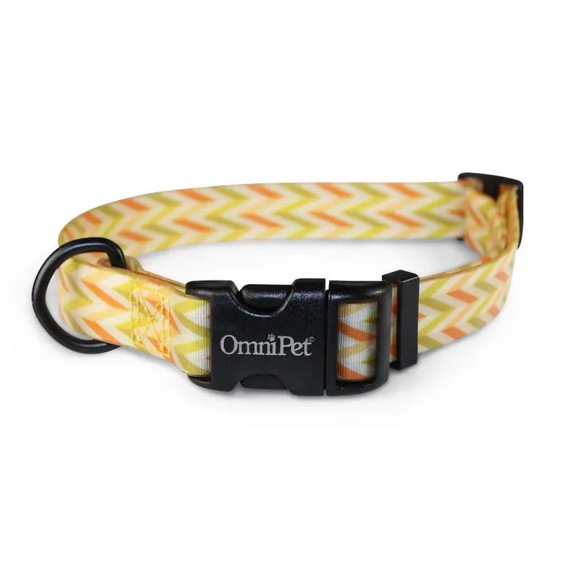 Carmel Attitudz Biothane Dog Collar / Lead