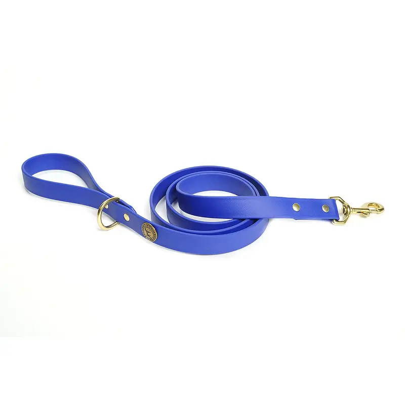 Sporting Dog Leash - River Blue