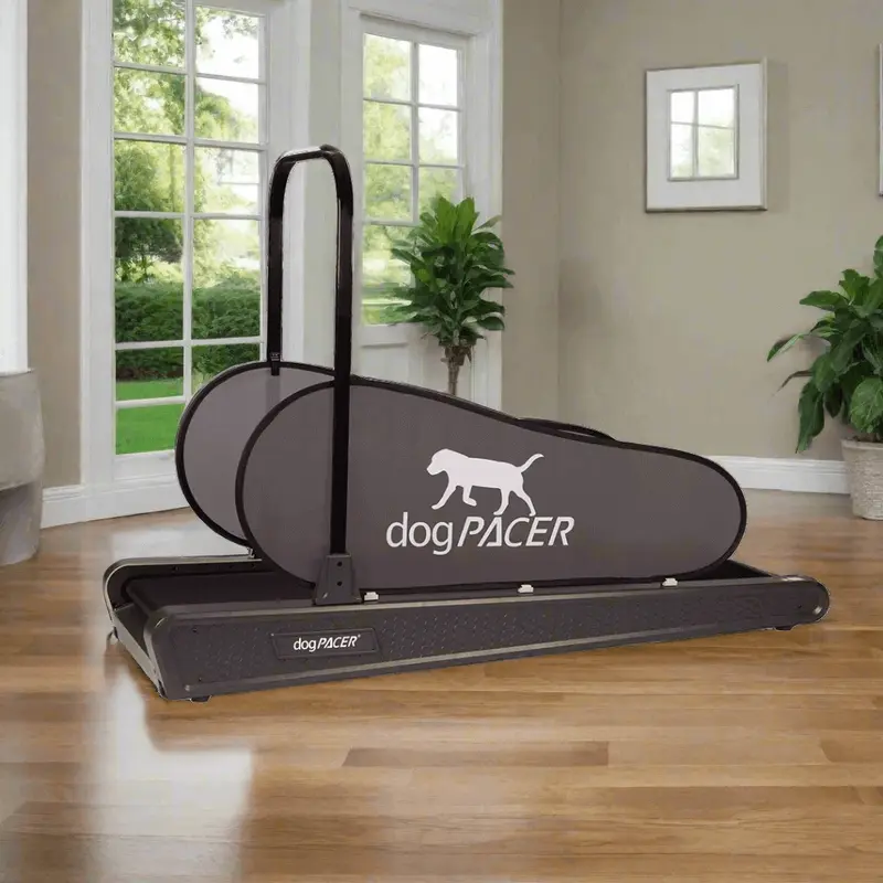 DogPACER SE- Grey