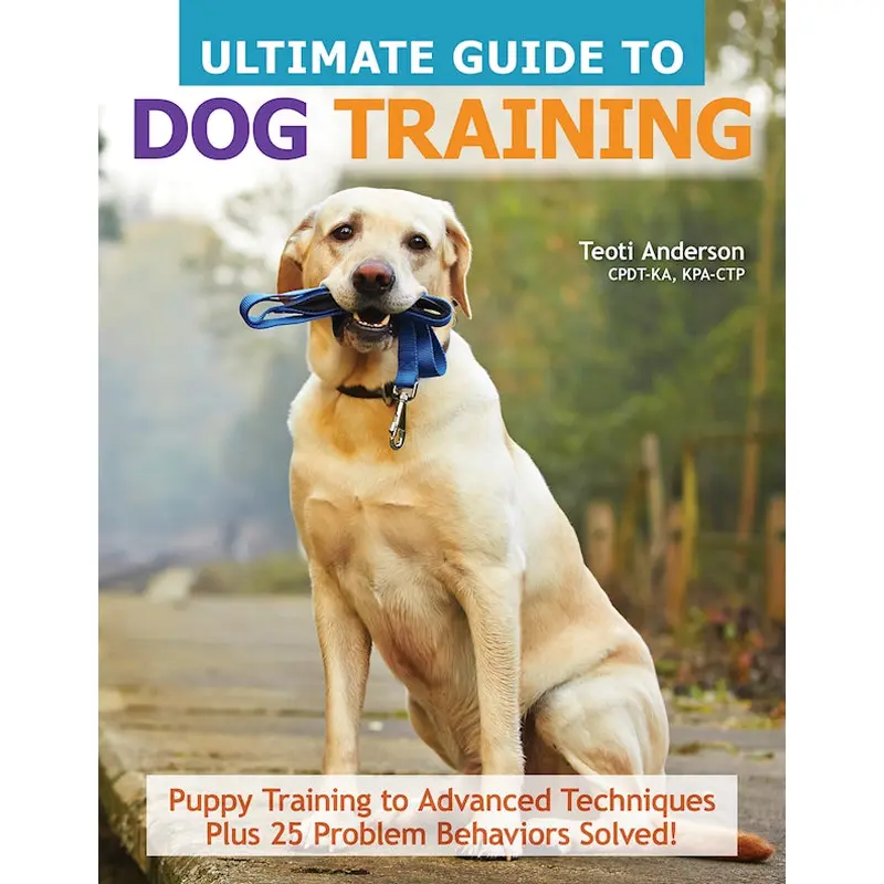 Ultimate Guide to Dog Training