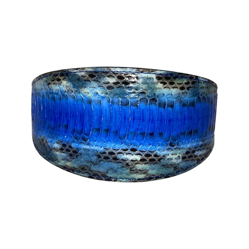 Stunning Multi-Blue Tone Snake 3 Wide Style Collar