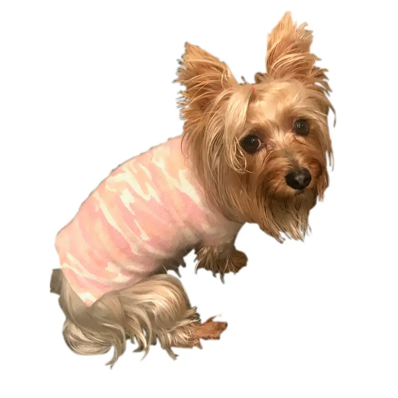 Camouflage Mockneck, Blush