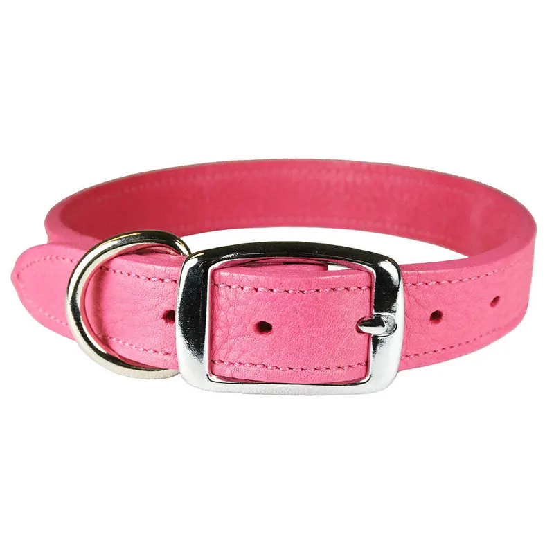 Flamingo Luxe Leather Dog Collar / Lead