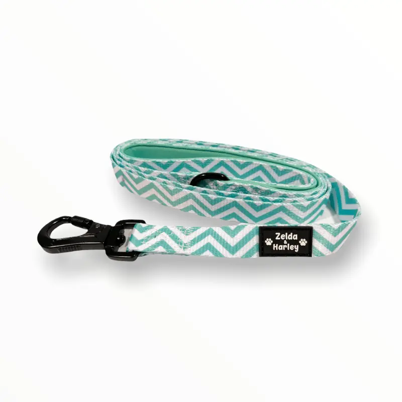 Zig Zag Wag Leash - Pastel Green