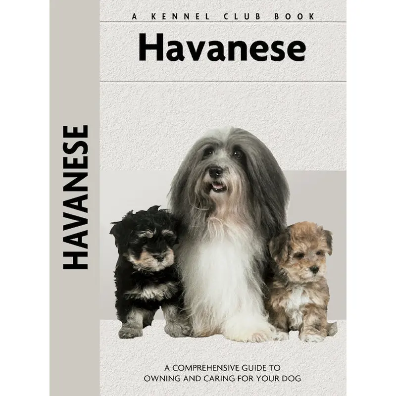 Havanese