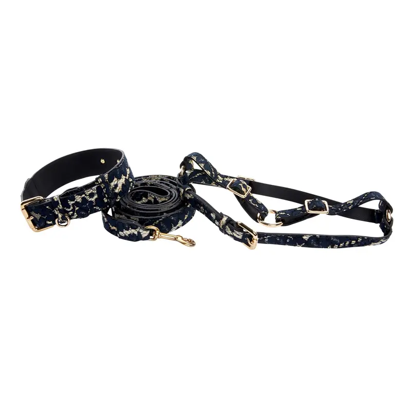 Dark Navy Lace On Gold Italian Leather Classic Collar, Leash & Harness Set