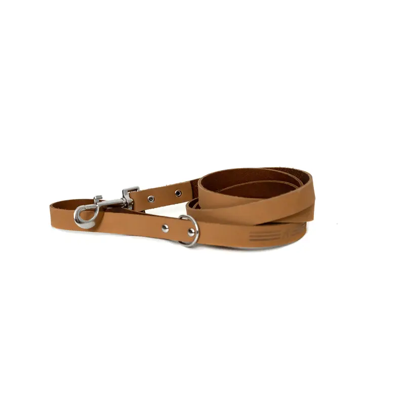 Modern Style Khaki Leather Leash