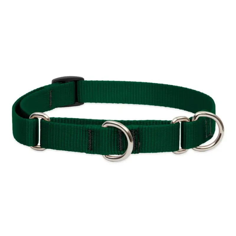 Lupine Pet Dog 3/4 In Wide 14-20 In Martingale Collar Basic Green