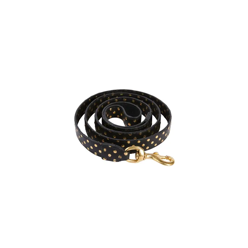 Black & Gold Polka Dot Leash