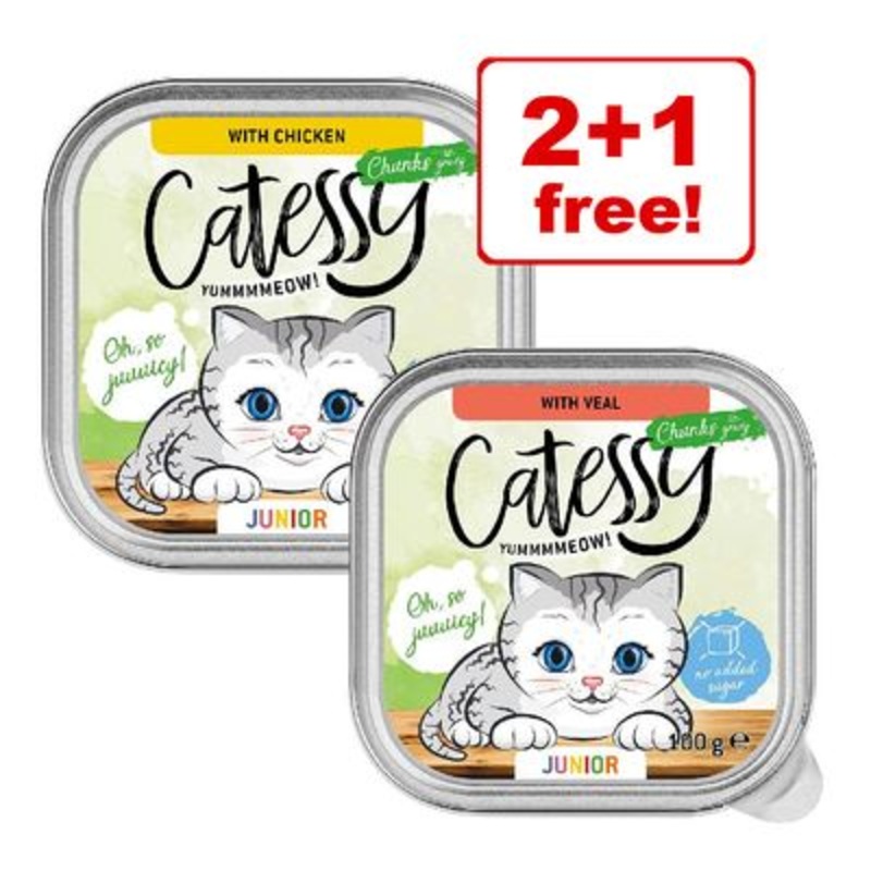 3 x Catessy Junior Wet Cat Food - 2 + 1 Free! *