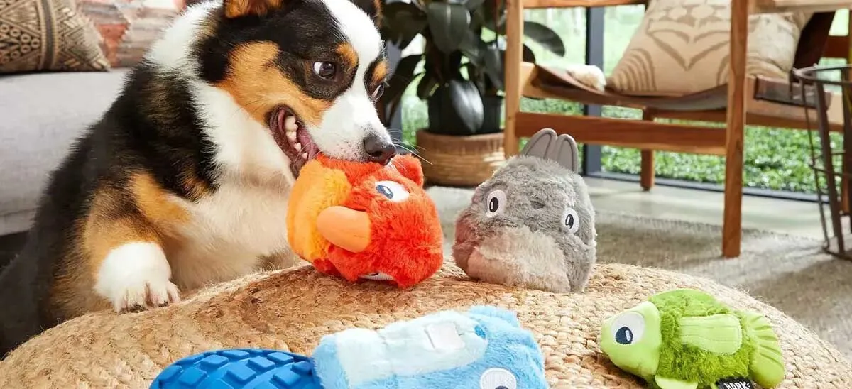 Dog Toys – Chew, Plush & Interactive + 50% Off NY